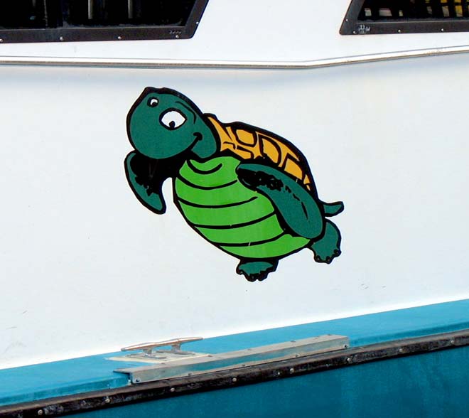 218-turtle.jpg
